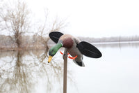 Mojo Lite Mallard Decoy
